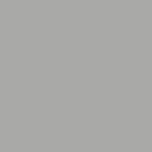 gray color swatch
