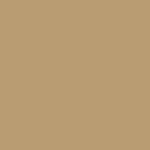 timber tan color swatch